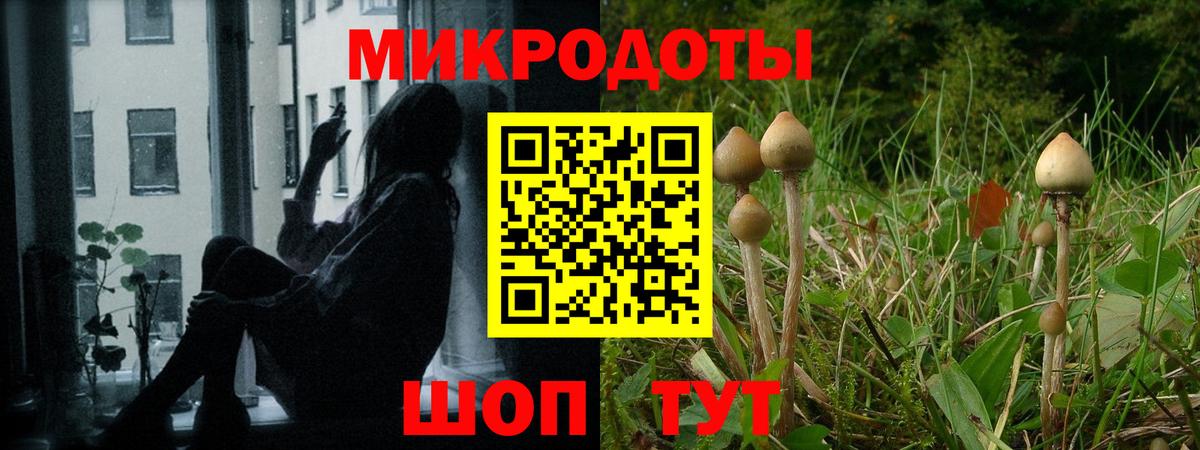 Псилоцибиновые грибы Cubensis Белебей