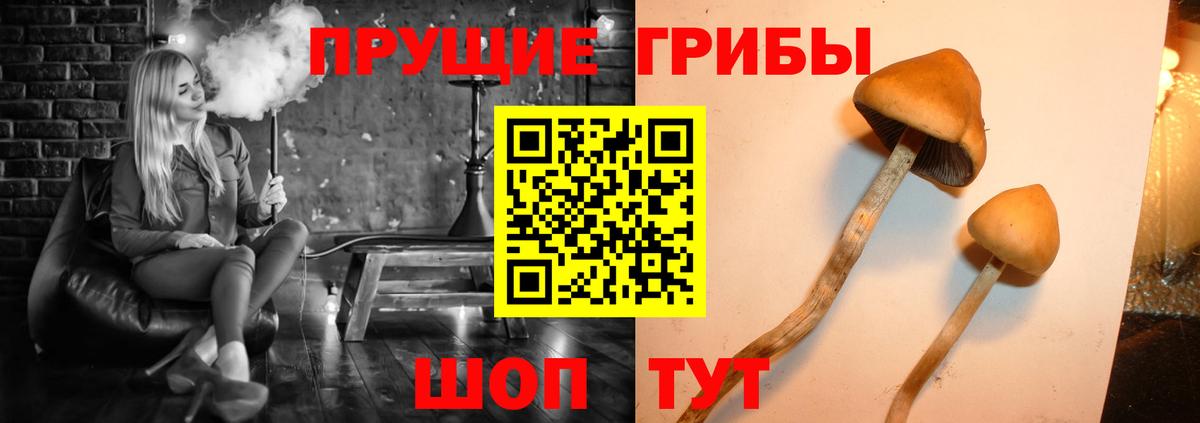 Псилоцибиновые грибы мухоморы  Вход с VPN  Белебей 